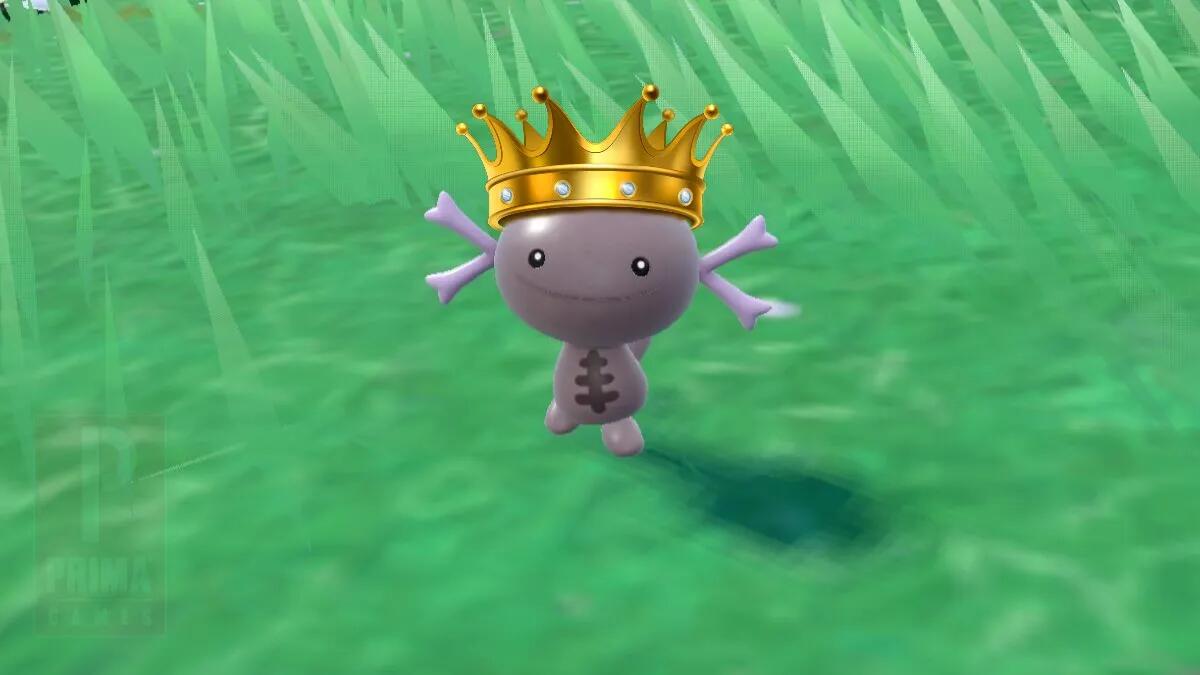 Discovery splash banner for Wooper Academy Discord server