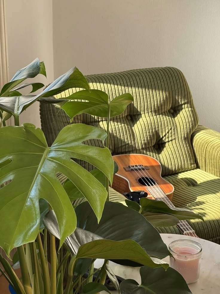 Discovery splash banner for ᣟ݂ᘛ˚✿ᩧ໋ׅ ㆍ݂𝓎𝕠a𝑛 ᣟ݂݁ 🌱 ݄ 𝒹𝕛𝟸lㆍ݂ ֺ𓊔⑅ Discord server