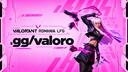 Discovery splash banner for VALO & CS2 România Discord server