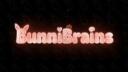 Discovery splash banner for BunniBrains Discord server