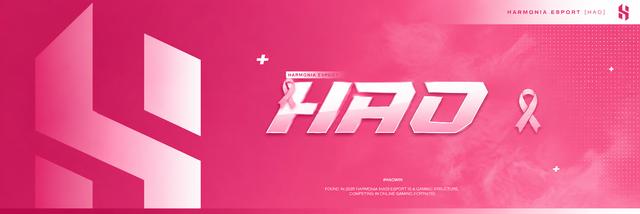 Discovery splash banner for HAO E-Sport Discord server