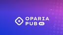 Discovery splash banner for OPARIA PUB #1 Discord server