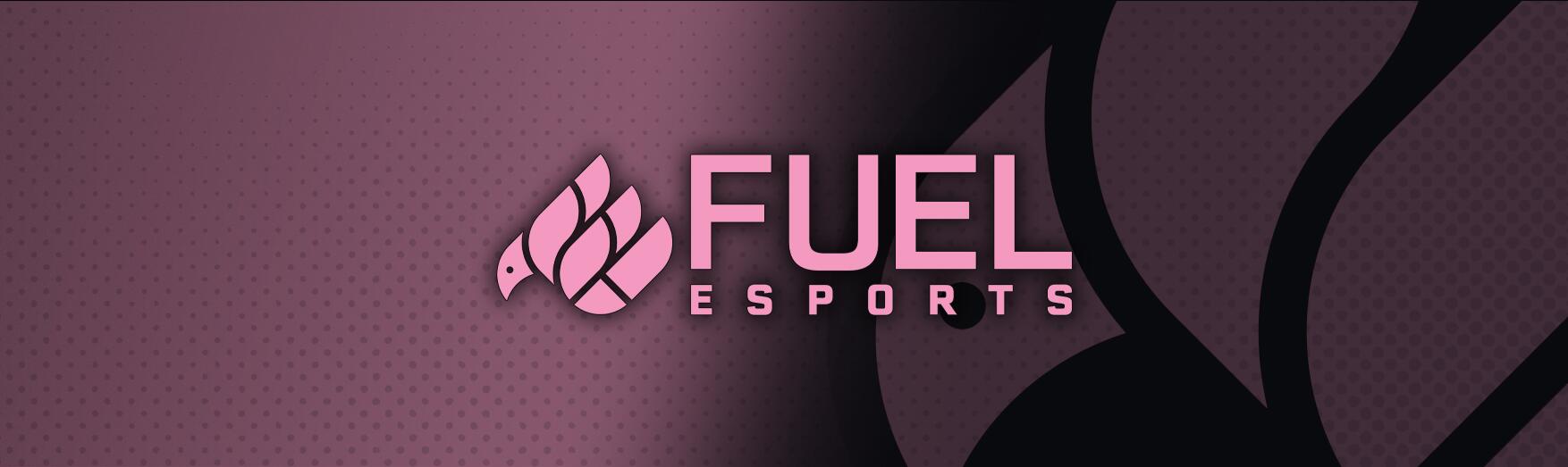 Discovery splash banner for Fuel Esports Discord server