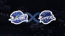 Discovery splash banner for Viper Discord server