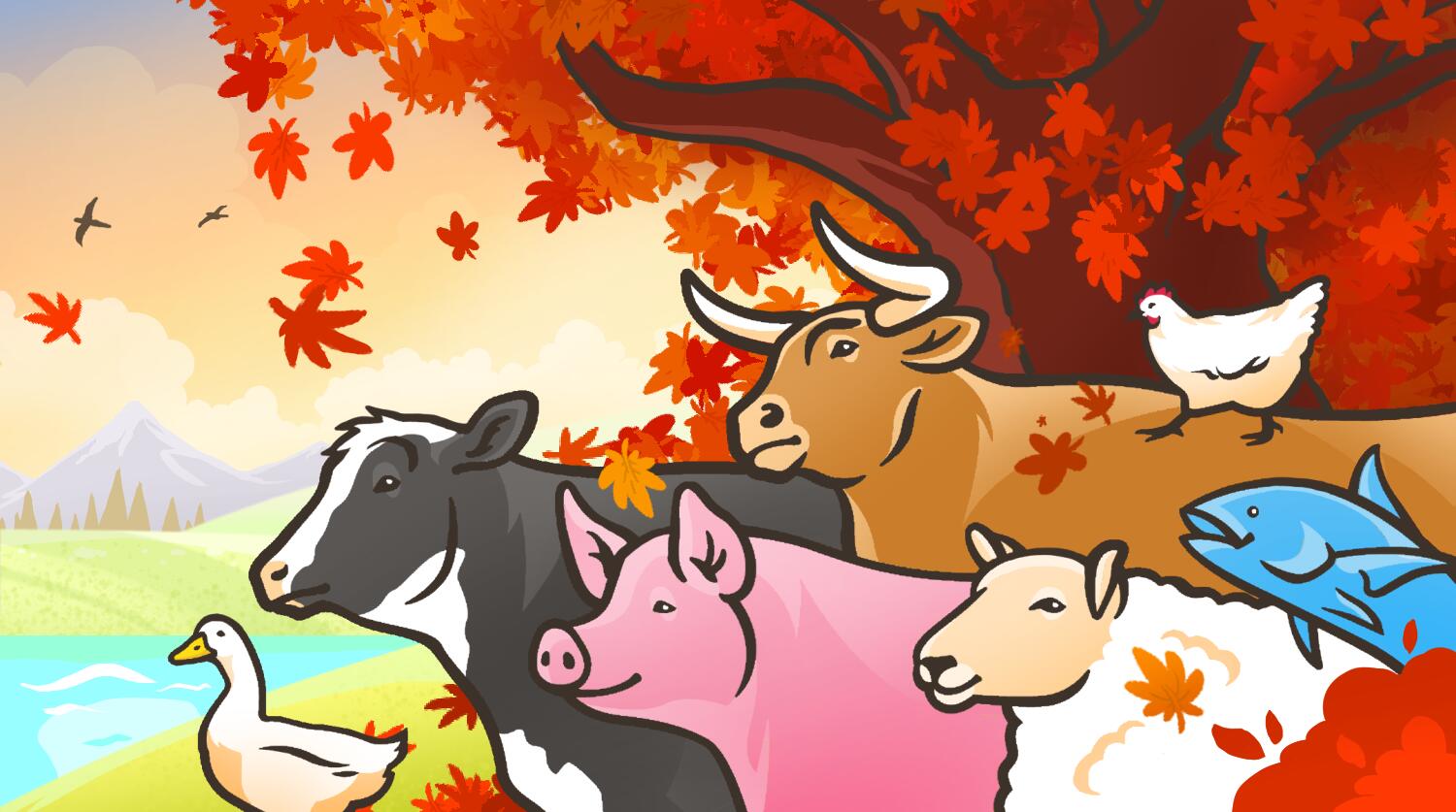 Discovery splash banner for Animal Rights Advocates Discord server