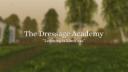Discovery splash banner for The Dressage Academy Discord server