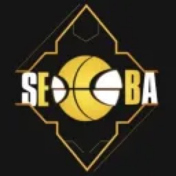 Discovery icon for SEBA Discord server