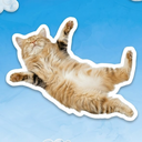 Discovery icon for Sky Community Discord server