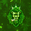 Discovery icon for ➥ CS2.OG-LION.RO Discord server