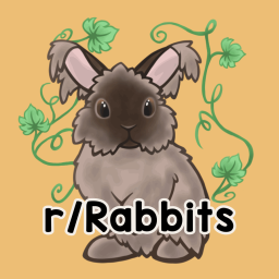 Discovery icon for Rabbitors Discord server