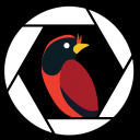 Discovery icon for Birding Simulator Discord server