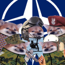 Discovery icon for we are NAFO Discord server
